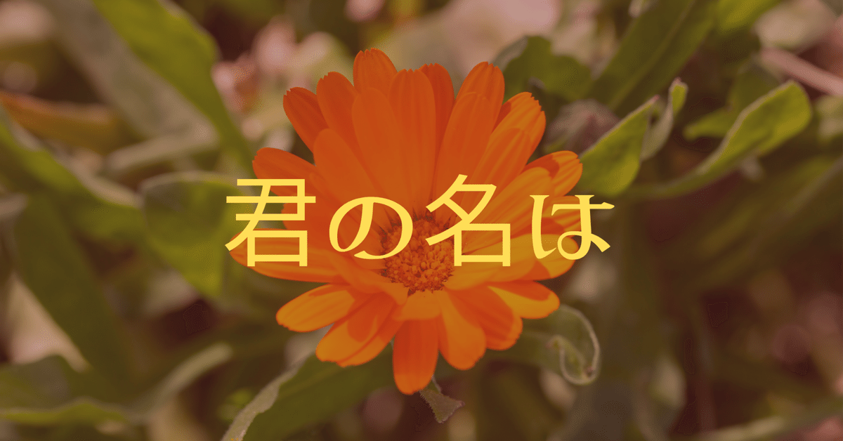 名前は生まれてもらう最初のプレゼント｜船岡未沙希 MISAKI