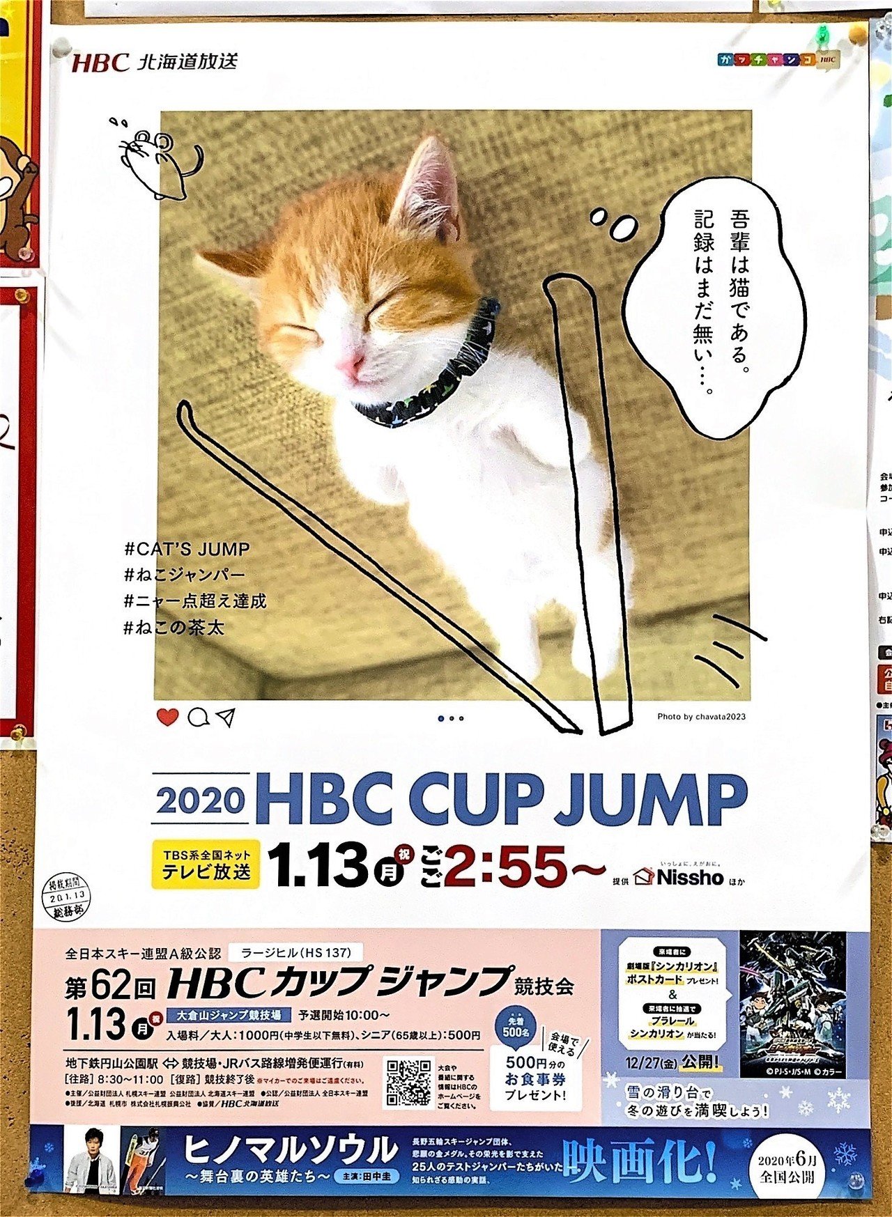 来年開催のhbcカップジャンプのポスターがなまらかわいい にゃんこの寝姿 体が一直線 にゃんこ スキージャンプしてる めんこすぎる Hbcラジオ 山根あゆみのラジオ業務日誌 Note