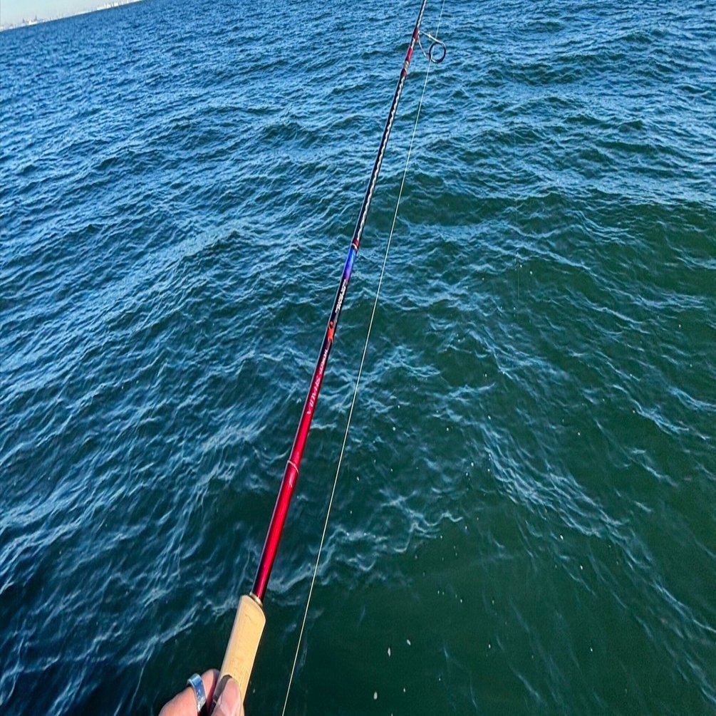 2025年最新版】シマノ「ワールドシャウラ ドリームツアーエディション