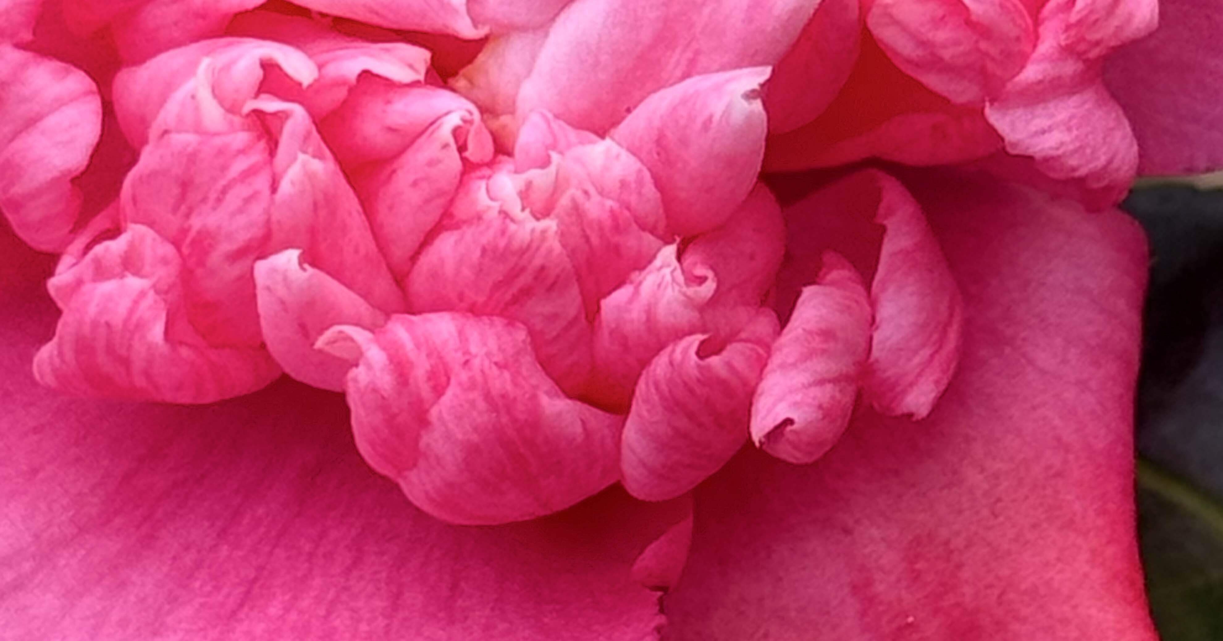 f28e84cd3caa84a3d27281cb9d2e65