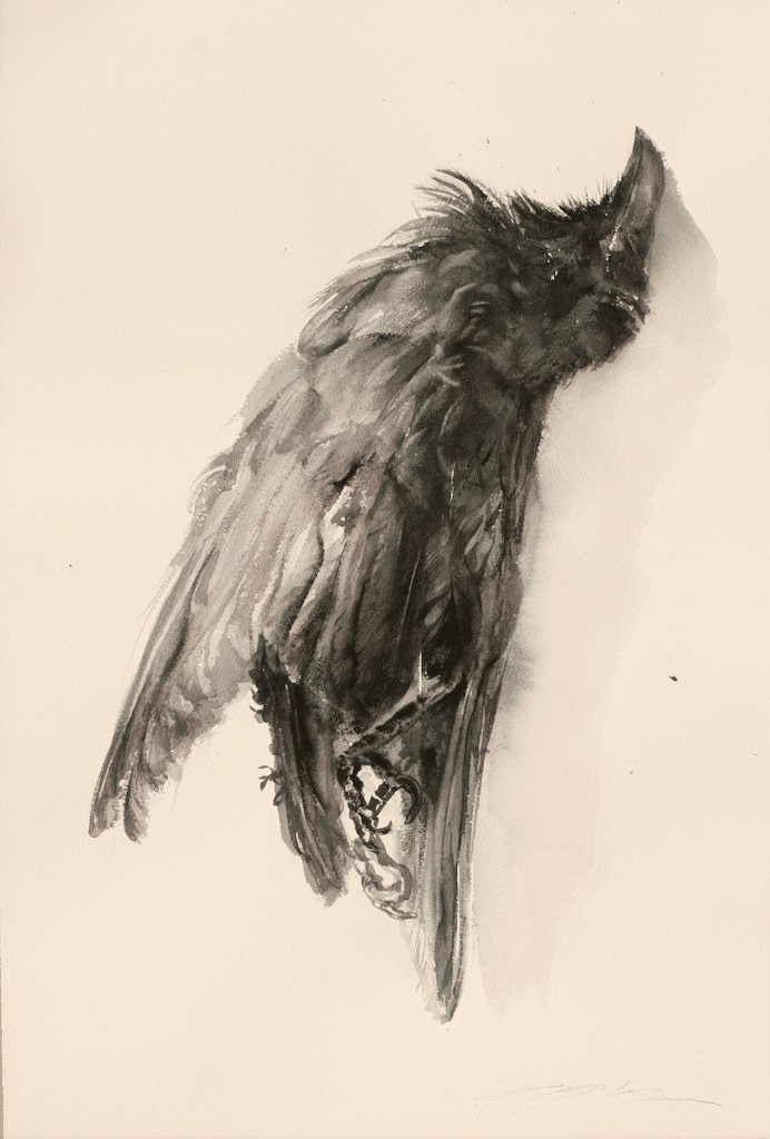 鳥展（at home）〜カラスの濡羽〜｜齋藤悠紀