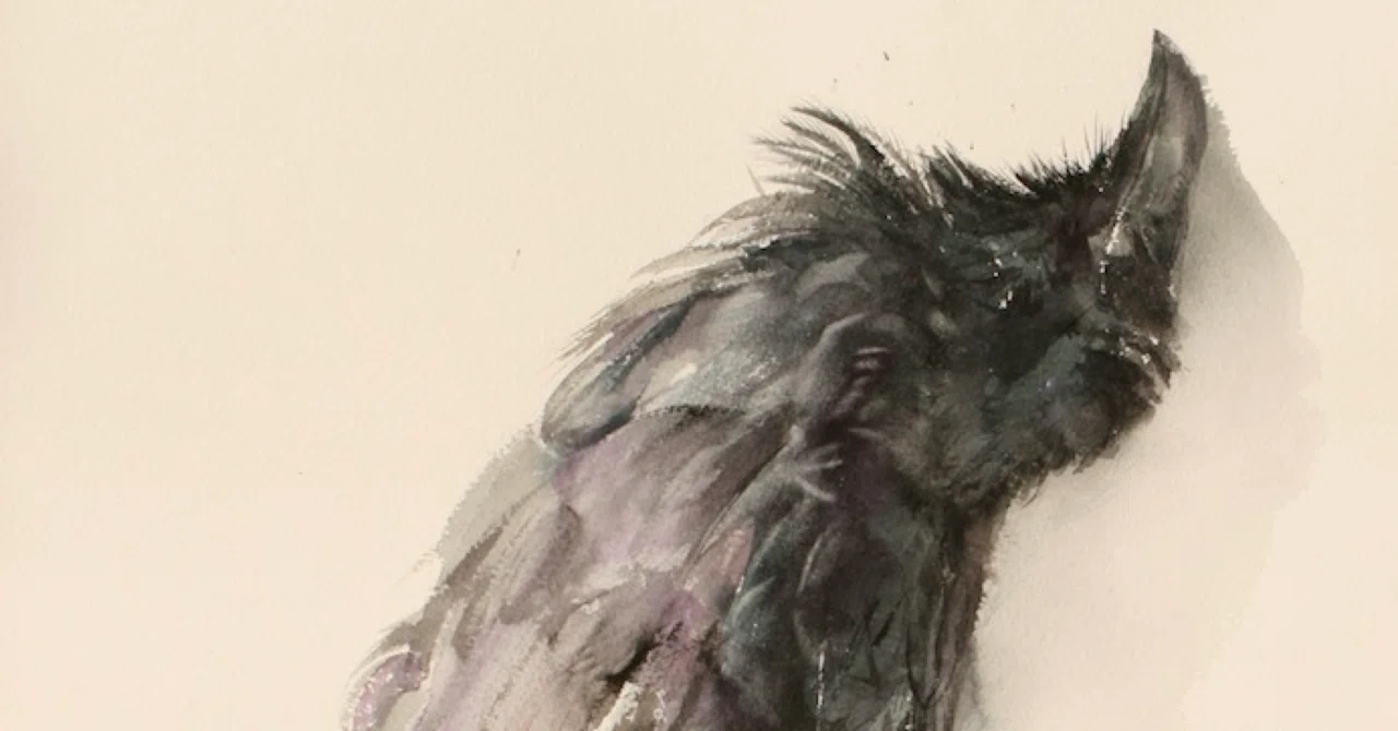 鳥展（at home）〜カラスの濡羽〜｜齋藤悠紀