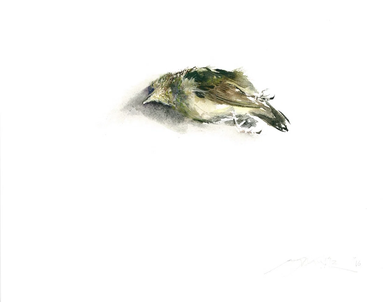 鳥展（at home）〜カラスの濡羽〜｜齋藤悠紀