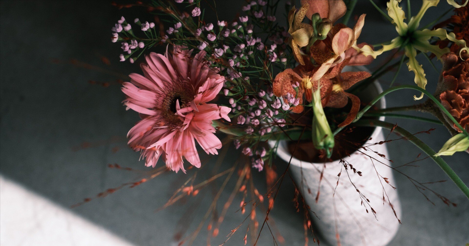 枯れかけ花 いつか枯れてしまう花｜pan