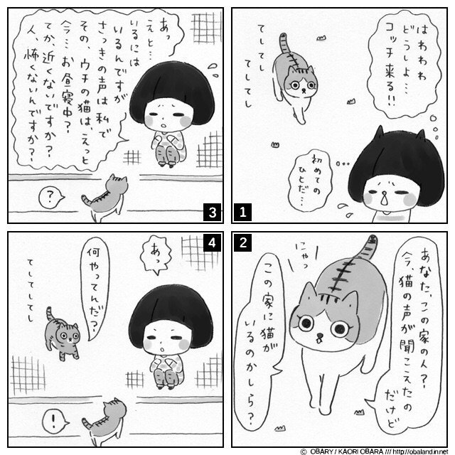 #ねこ #ネコ #猫 #イラスト #絵日記 #4コマ #ペット #ねこあるある #イラストエッセイ LINEスタンプ / http://line.me/S/sticker/1006209 猫様で検索 ;)