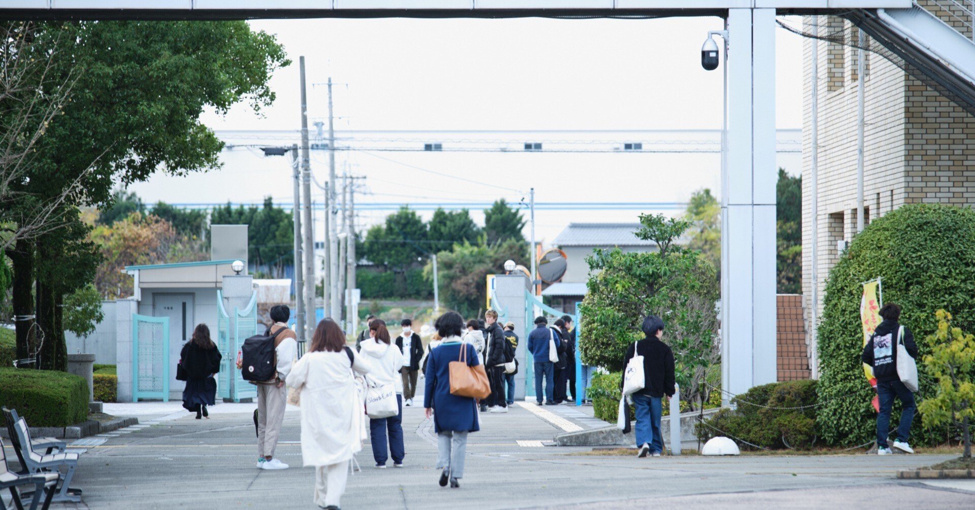 岐阜聖徳生の軌跡③教員・公務員編 伊藤 真白さん｜岐阜聖徳学園大学