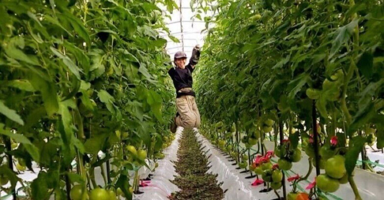 平取町トマト農家かおりさんインタビュー｜マザーベースプロジェクト