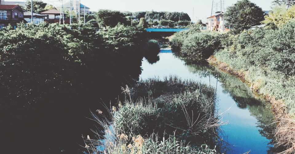 痒み 12歳の文学 第2回 佳作作品 Sono Note