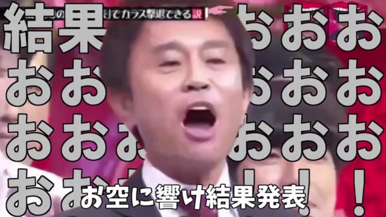 第91話 12 22中山11ｒ 有馬記念 後編 にゃむ師匠 にゃむ師匠と北斗 Note
