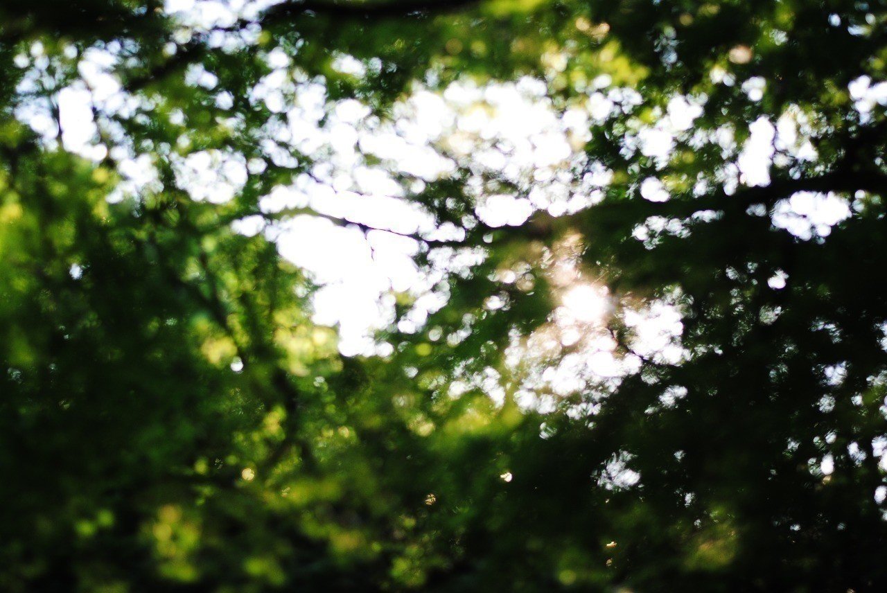 内なる美 ととのう暗闇 ダイアログ イン ザ ダーク 絶対みんな体験してほしい Asako 弁護士 ベリーダンサー お休み中 Lifeデザイン Note