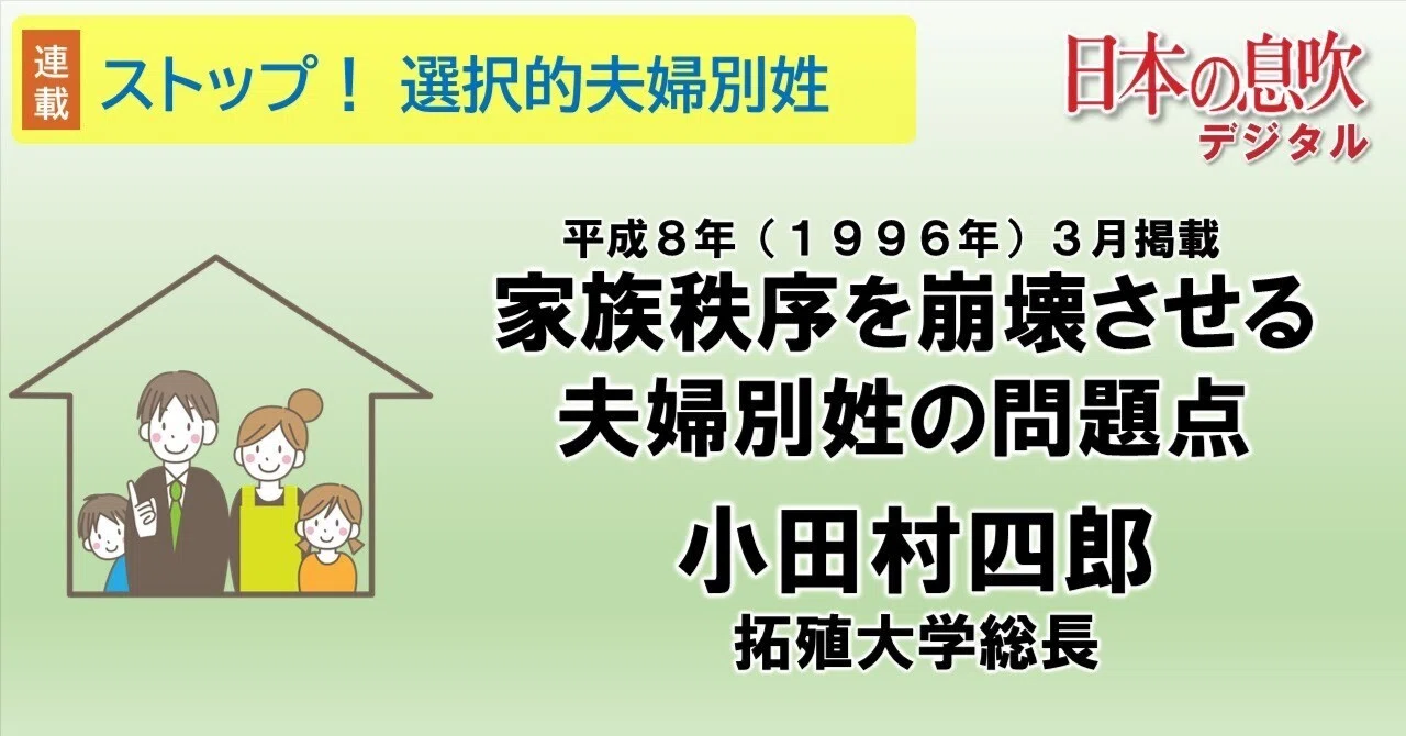 選択 的 夫婦 別姓 問題 点
