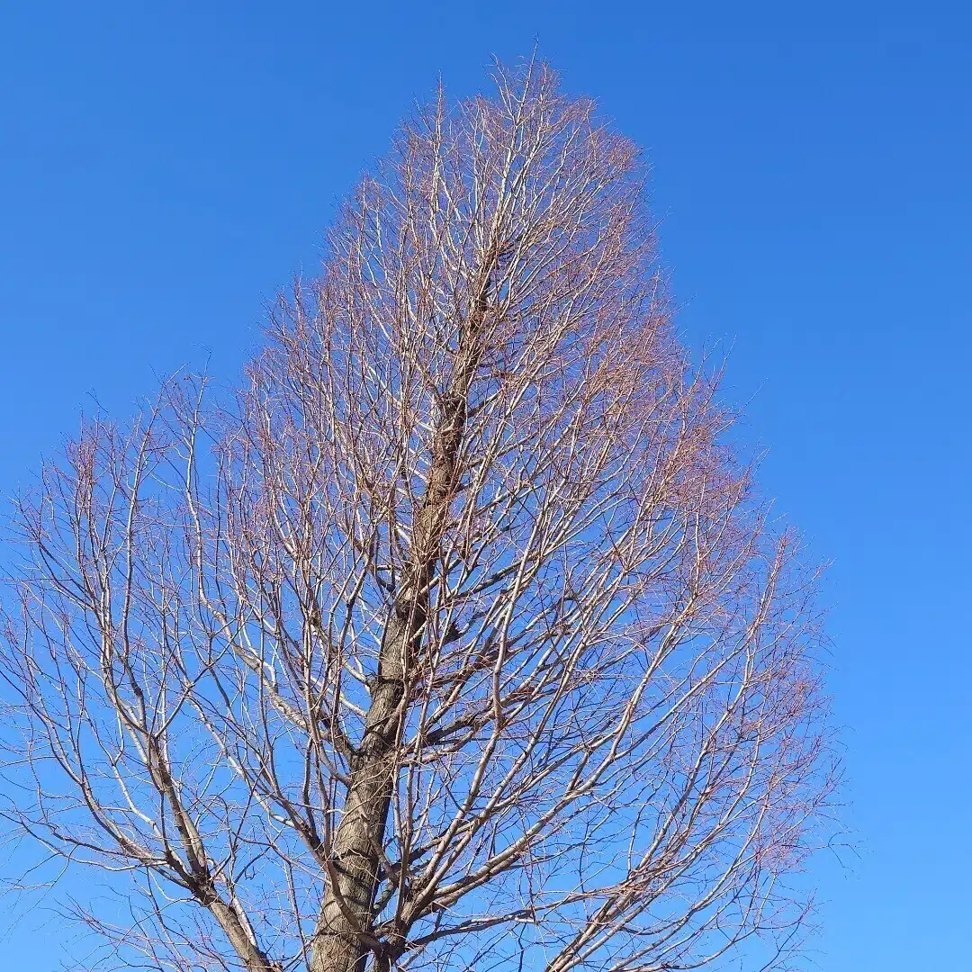 風太郎の写真館