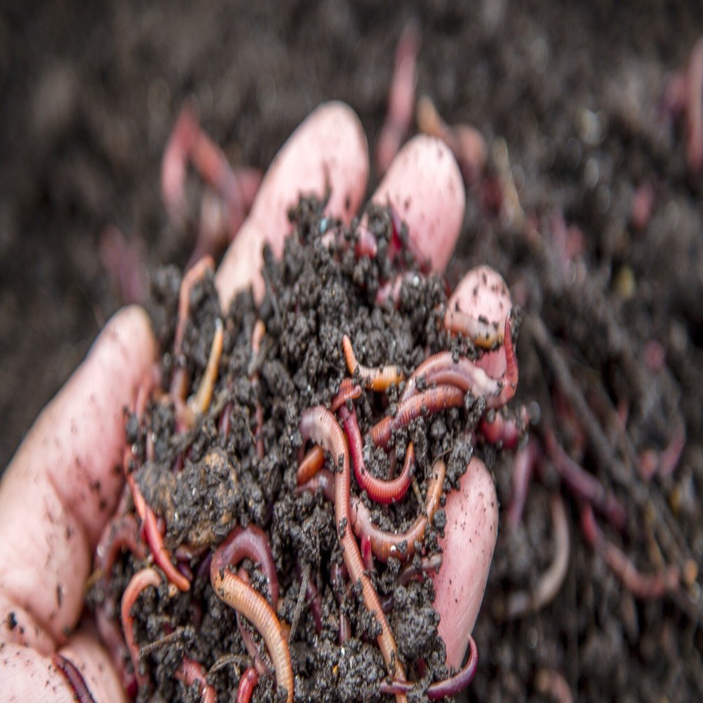 ミミズコンポスト容器、どんなのがある?｜108Farm