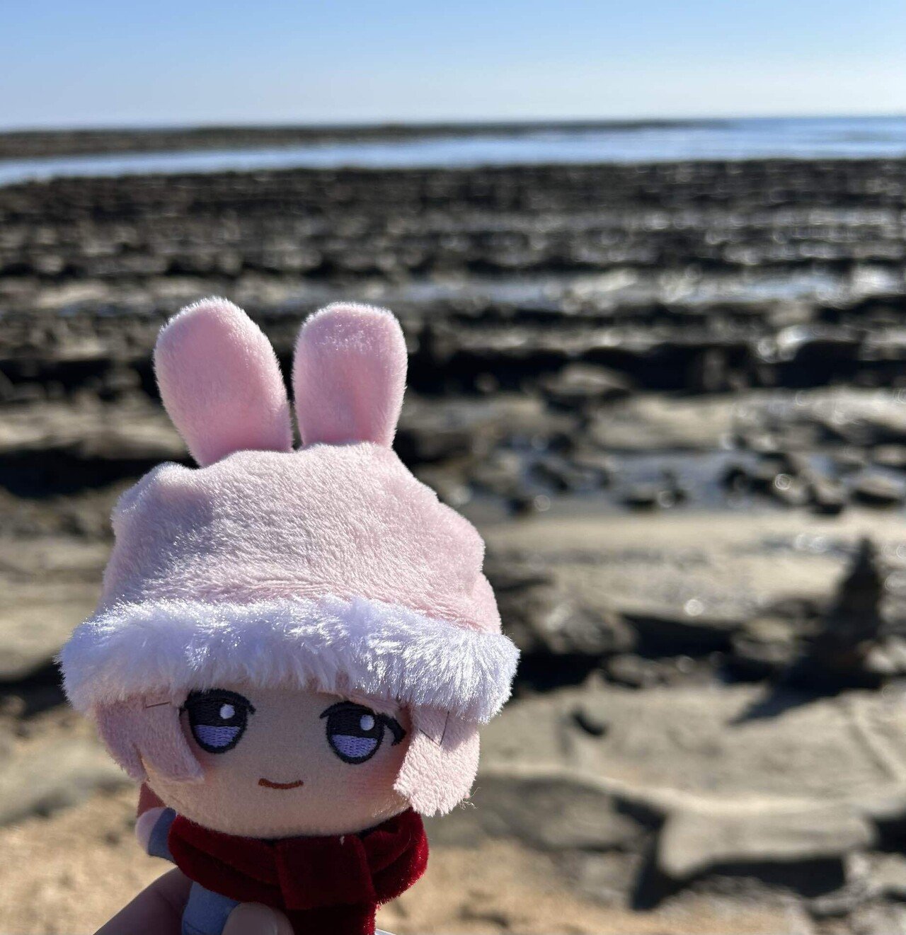 麻央ぬいとの思い出｜燦然と