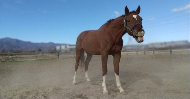 94196ac514c283069999bff7071307