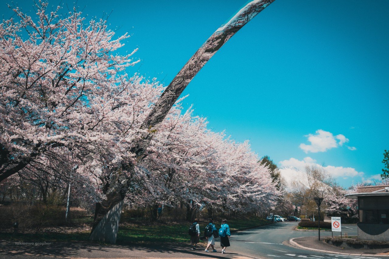 淡くときめく青い春 Masahito Matsumori Ima Note
