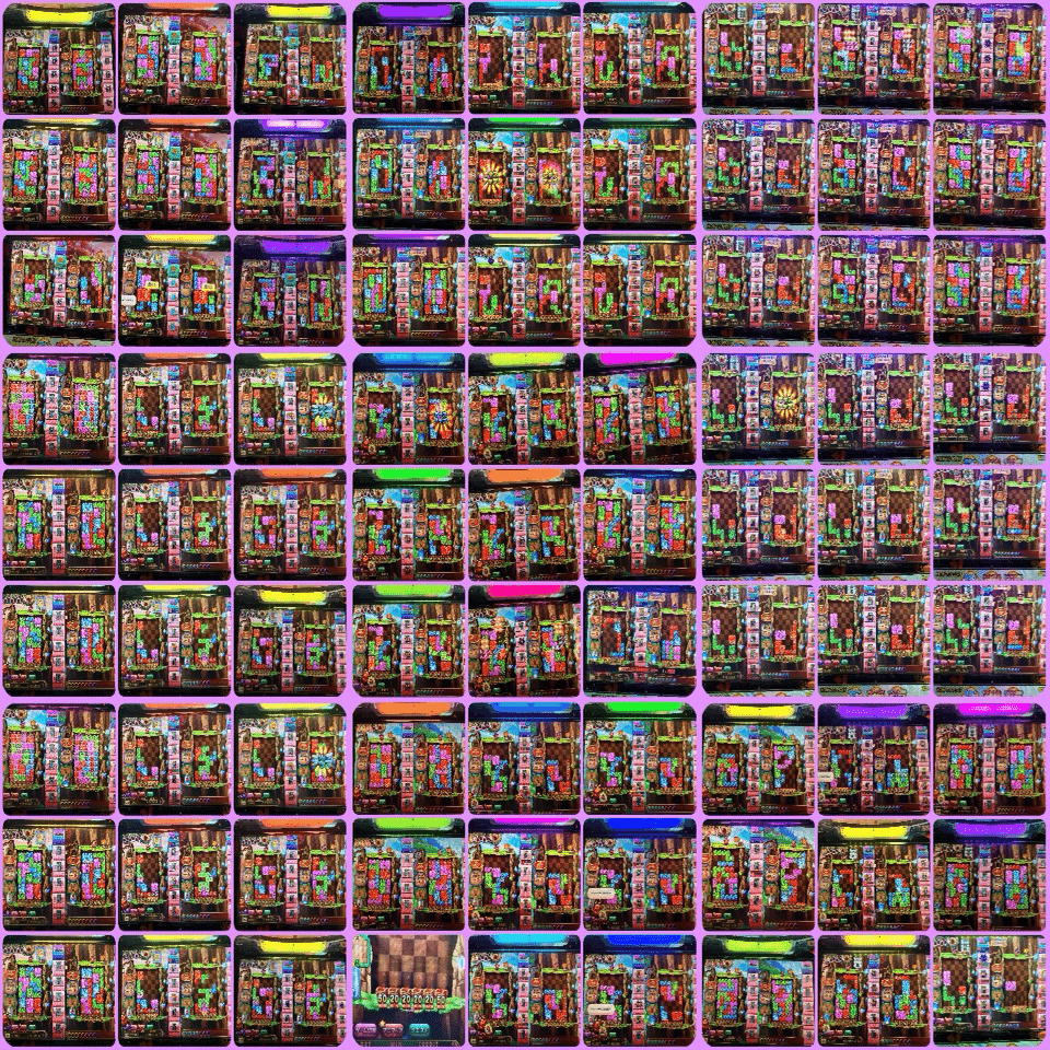 everydayアニマロッタ！】それいけ！マジカル調査隊！-003- 2025.01.17