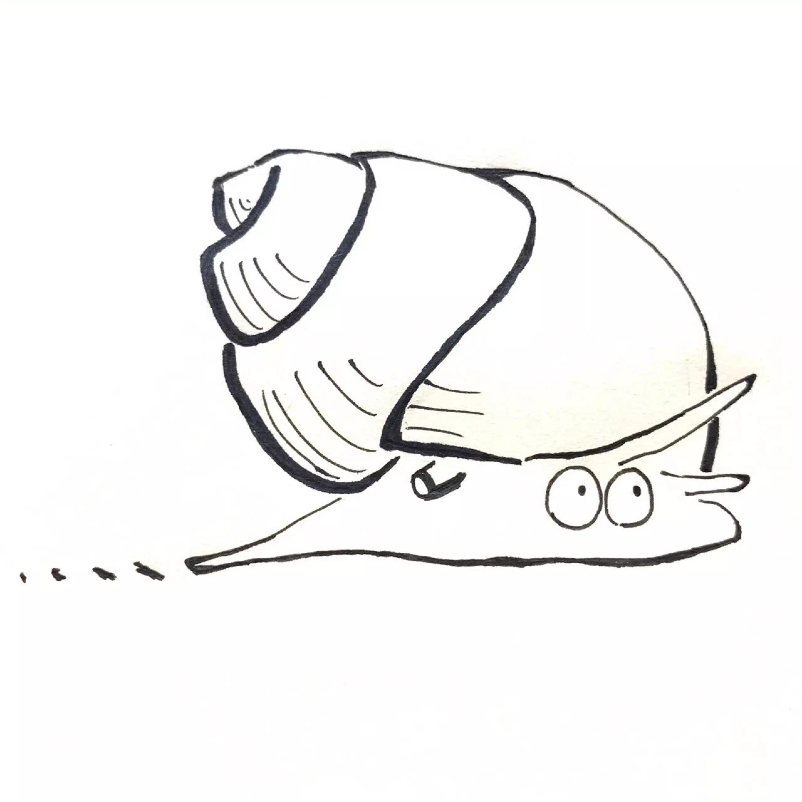 谷たにし