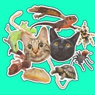 井上アフターバーナー