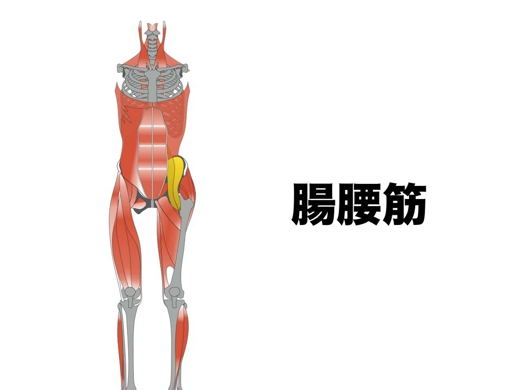 スポーツ選手向けストレッチ動画①｜腸腰筋｜平 純一朗｜理学療法士