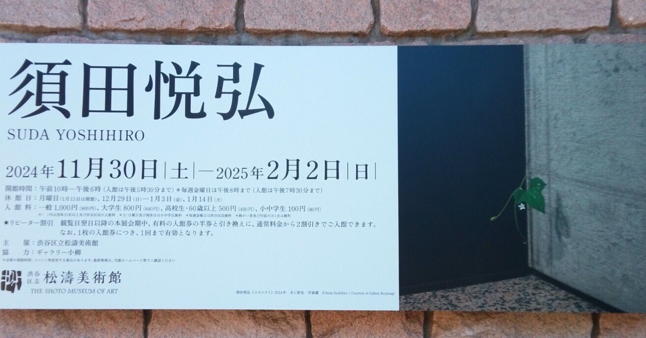 須田悦弘展 千葉市美術館 B2ポスター 新品・超美品