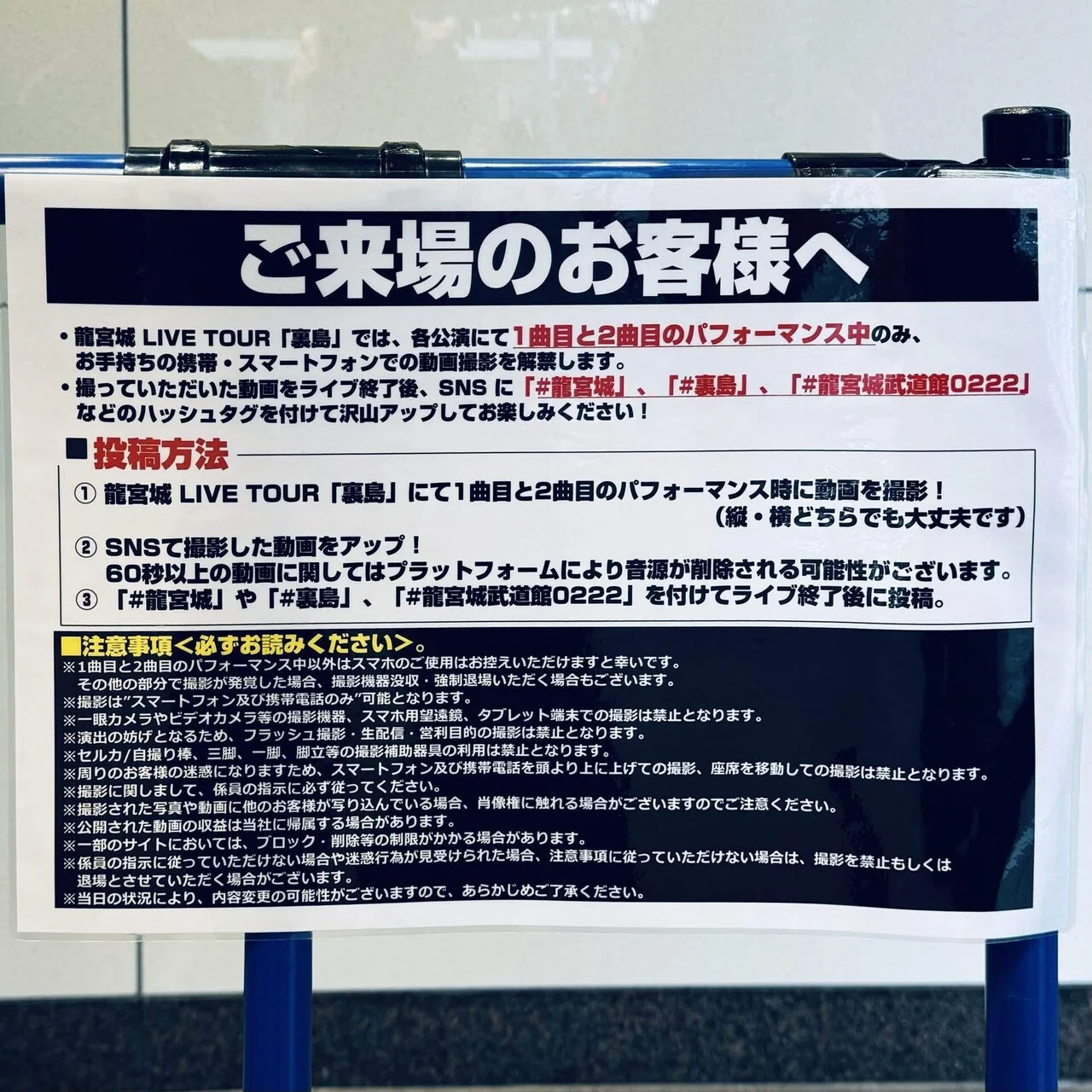 ライブ感想】龍宮城 LIVE TOUR「裏島」へようこそ “ここはファイト 