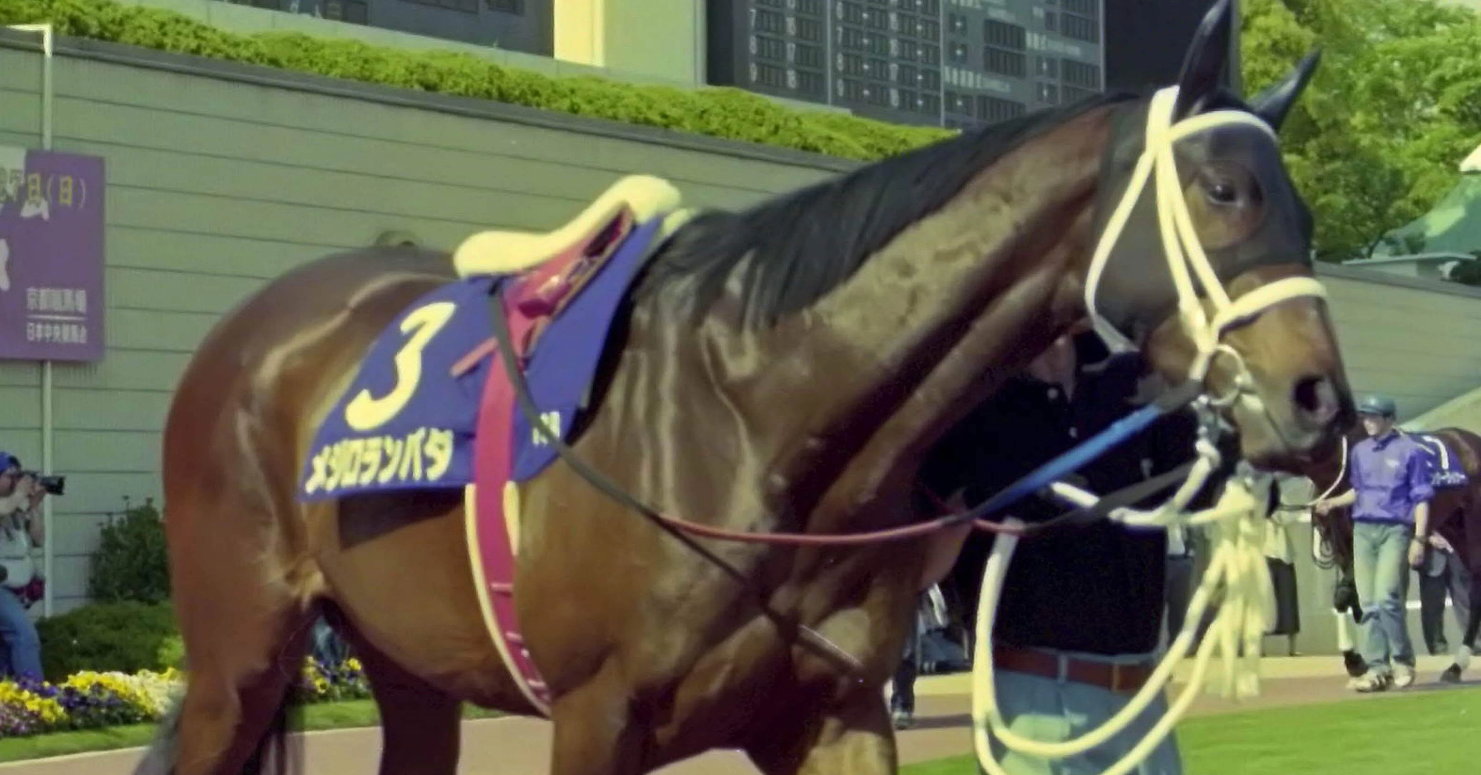 現地購入的中単勝馬券【2001年日経新春杯】ステイゴールド｜ホビー 
