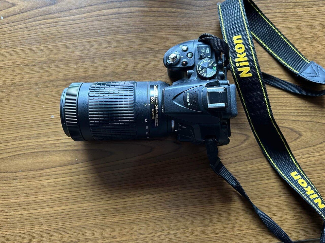 写真散歩 1/18 〜久しぶりの300mm|SuzukenSambar 写真散歩 1/18 〜久しぶりの300mm|SuzukenSambar