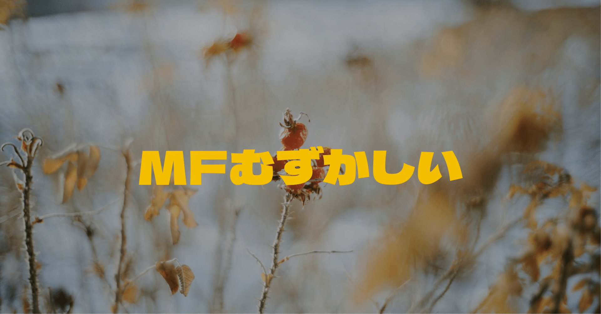 Nikon Zシリーズでマニュアルフォーカスのピント合わせがちょっと楽に