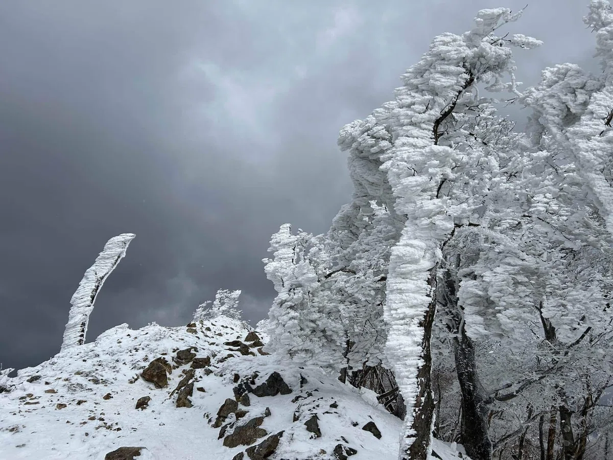 Takami Mountain, the Famous Peak of Frost-Covered Trees｜mountain go