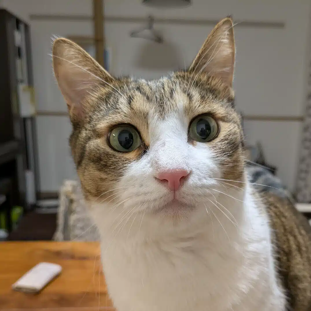 ゆるゆると