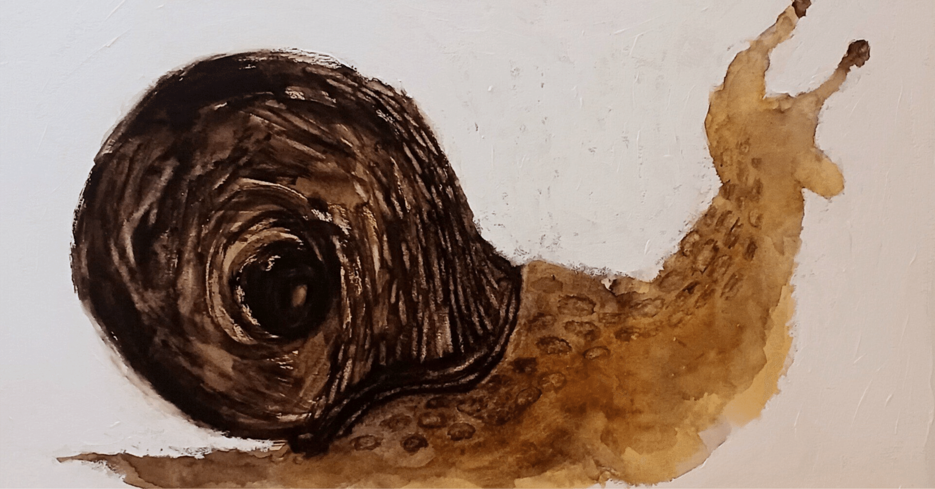 かたつむり かたつむり 写真素材 [1253141] - フォトライブラリー