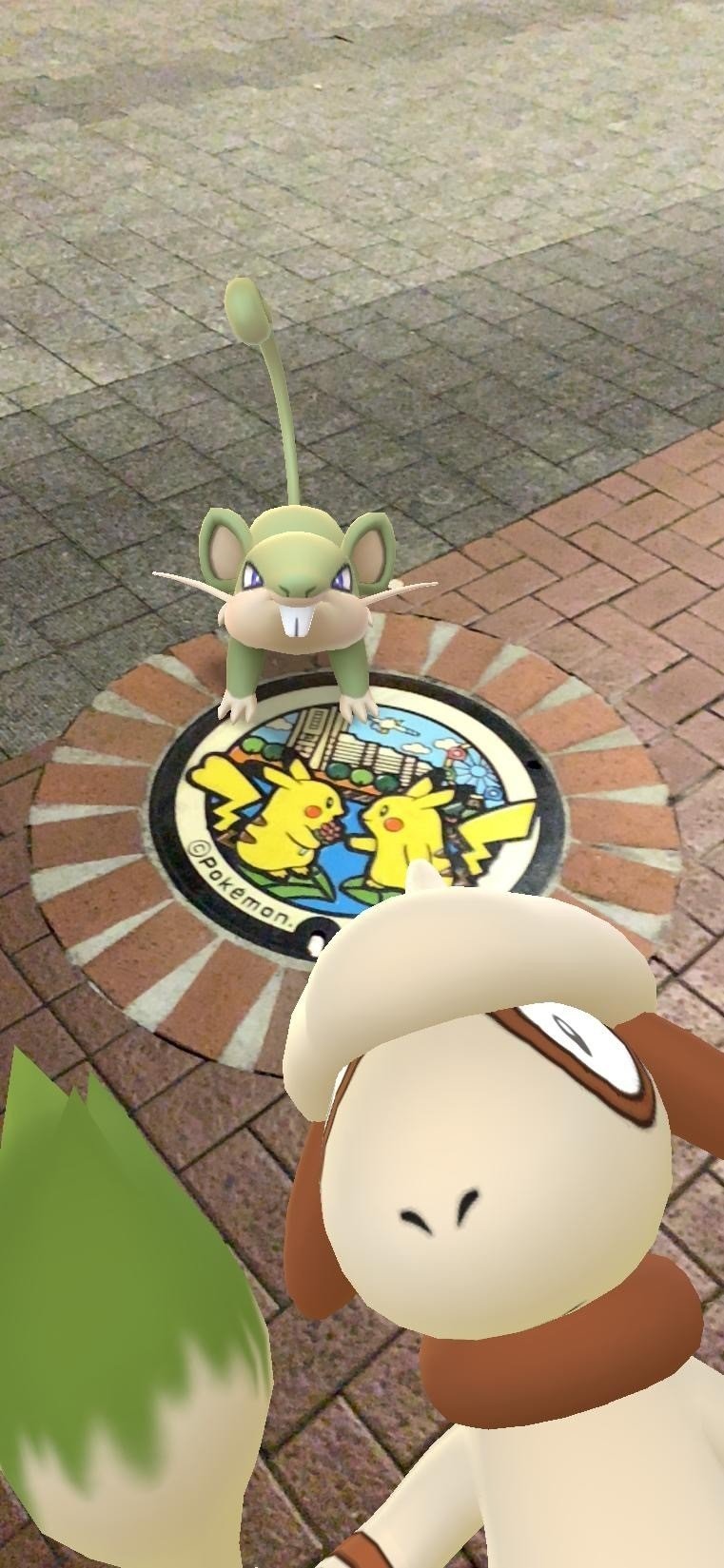 ポケモンgo カメラマンメダル 1000回 なる Note