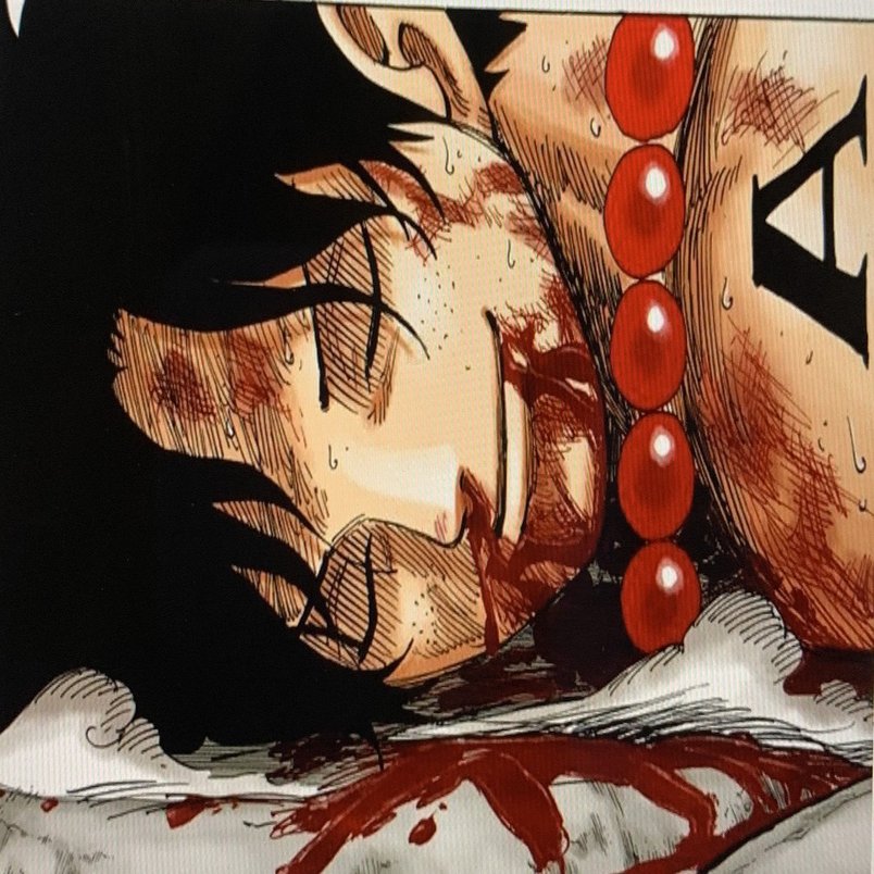 One Piece アドラー心理学 世界平和を目指して 山野 礁太 ライター One Piece学 研究家 Note