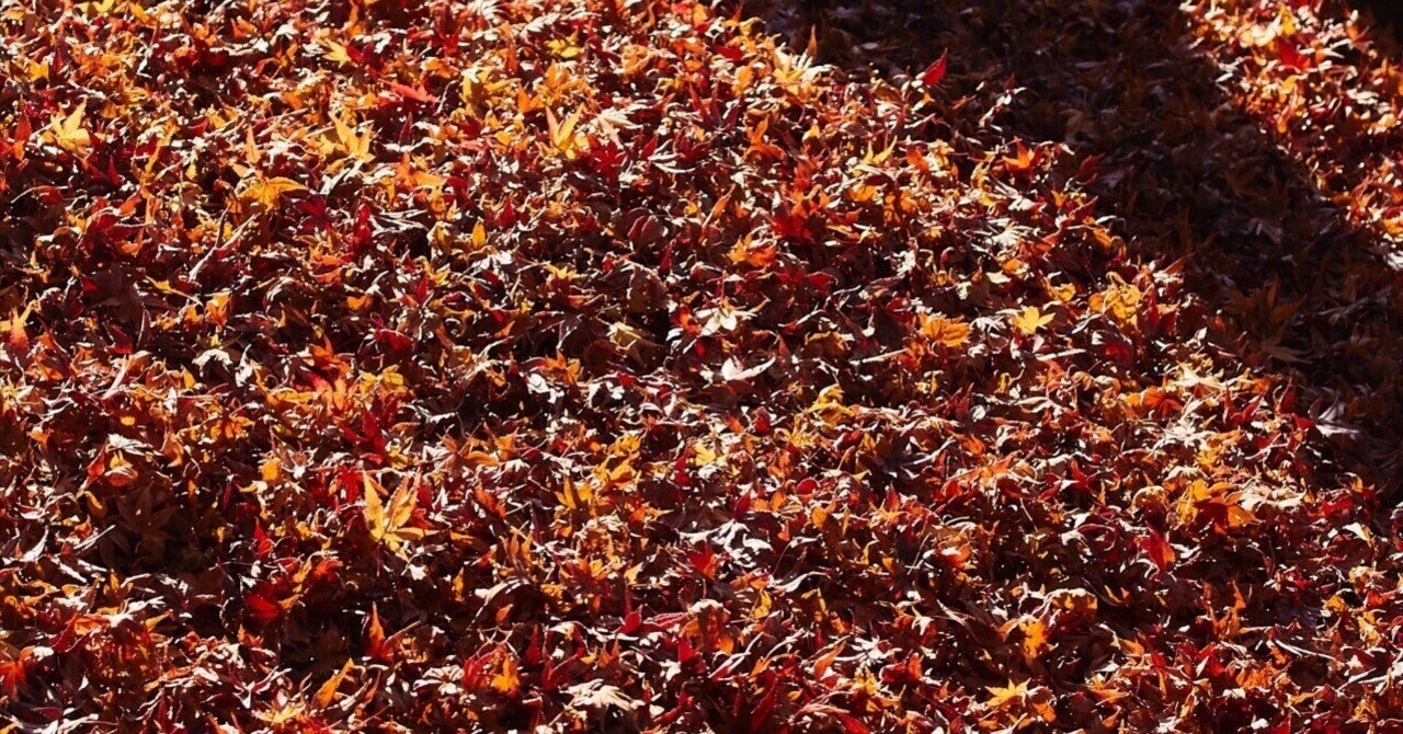 美品♡canon Kiss X4 紅葉 軽量✨手ブレ 高画質 動画 夜景 キヤノン Kiss X4 紅葉 軽量✨手ブレ 高画質 動画 夜景 IS STM