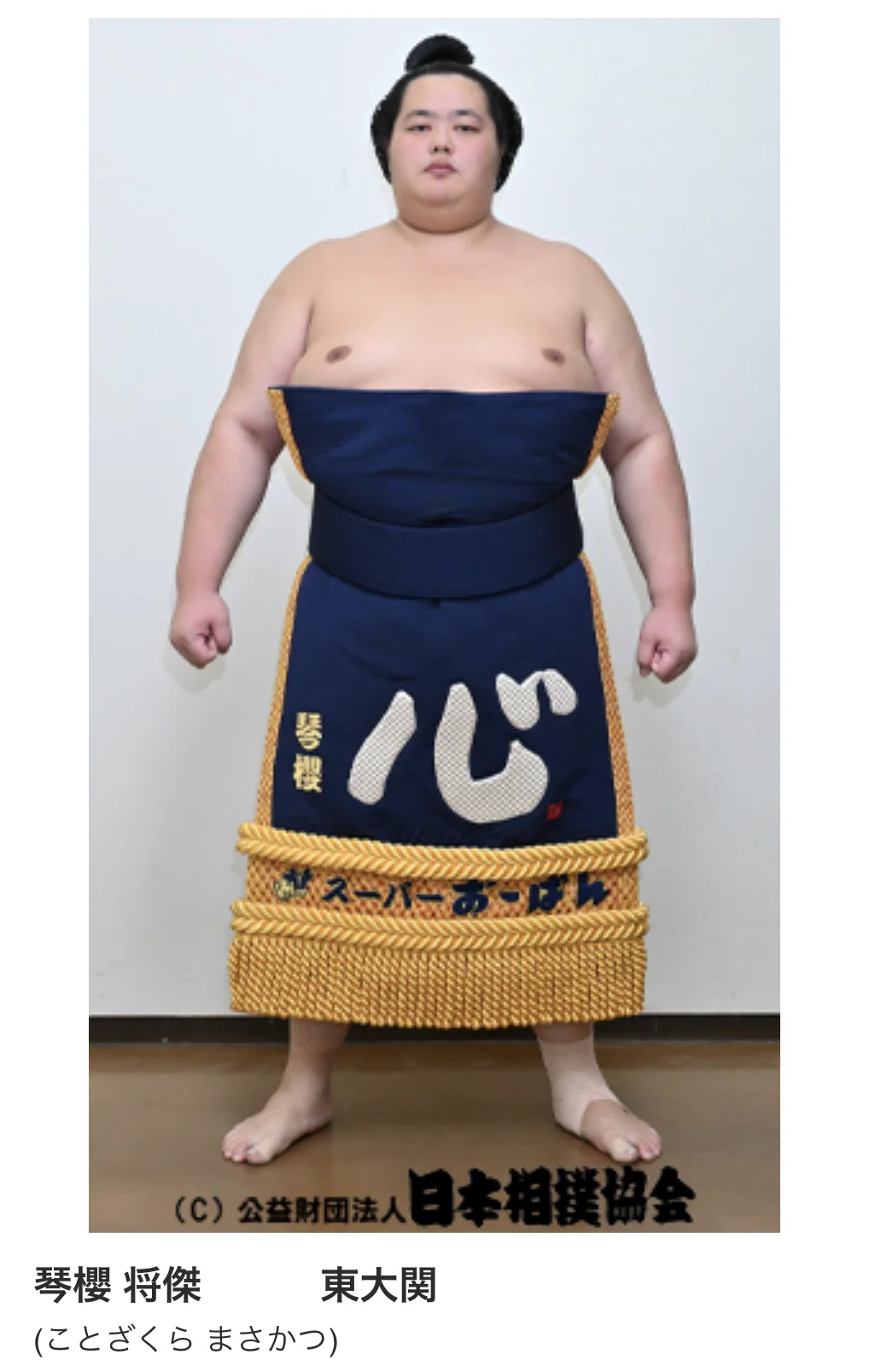 🍲大相撲力士名鑑〈千葉県編〉🍲 【琴櫻 将傑】 松戸市出身・佐渡ヶ嶽