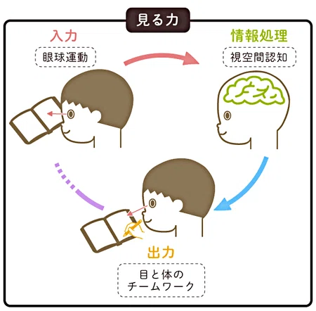 ビジョントレーニング その1 事前説明編｜メガネくん@盲学校/特別支援