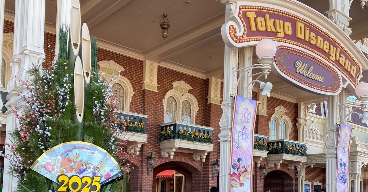 ディズニーランド🏰🐭👑💓｜ラプ335