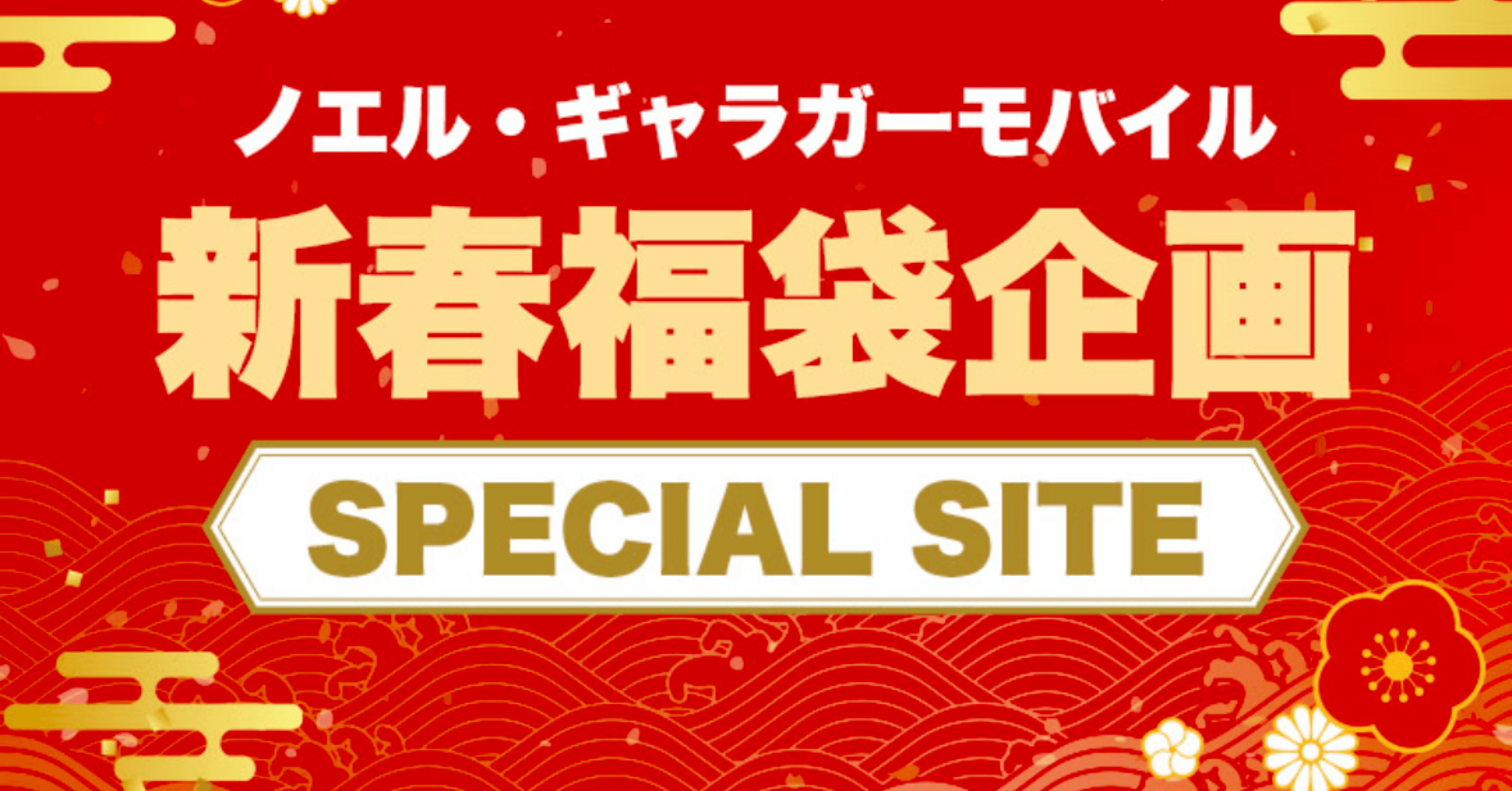 oasisチケット争奪戦記(ノエル・ギャラガーモバイル福袋)｜ぽめ