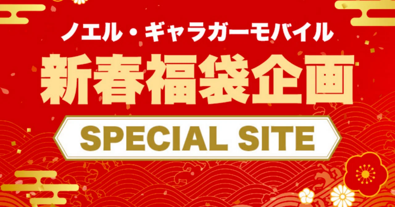 oasisチケット争奪戦記(ノエル・ギャラガーモバイル福袋)｜ぽめ