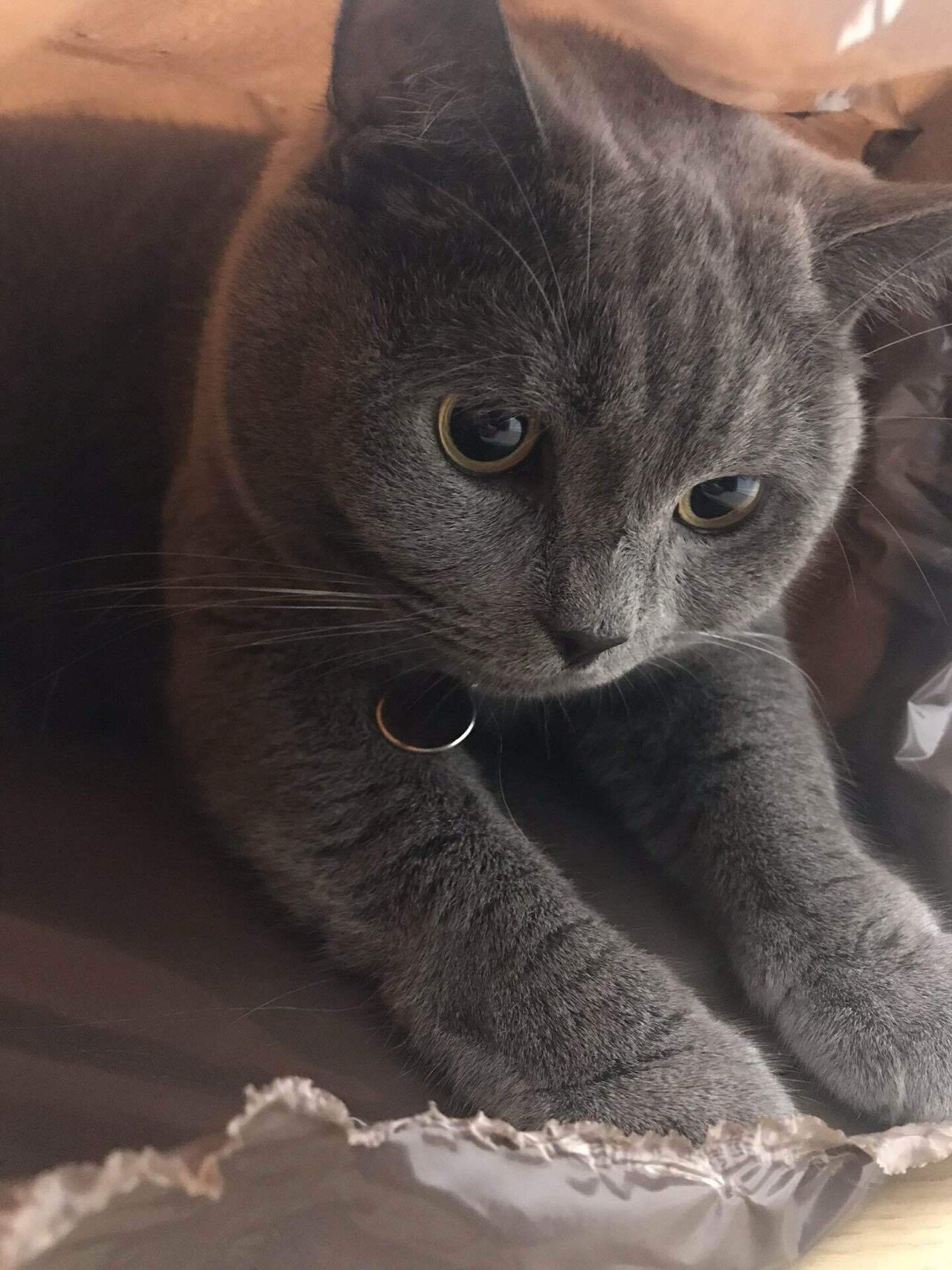 oasisチケット争奪戦記(ノエル・ギャラガーモバイル福袋)｜ぽめ