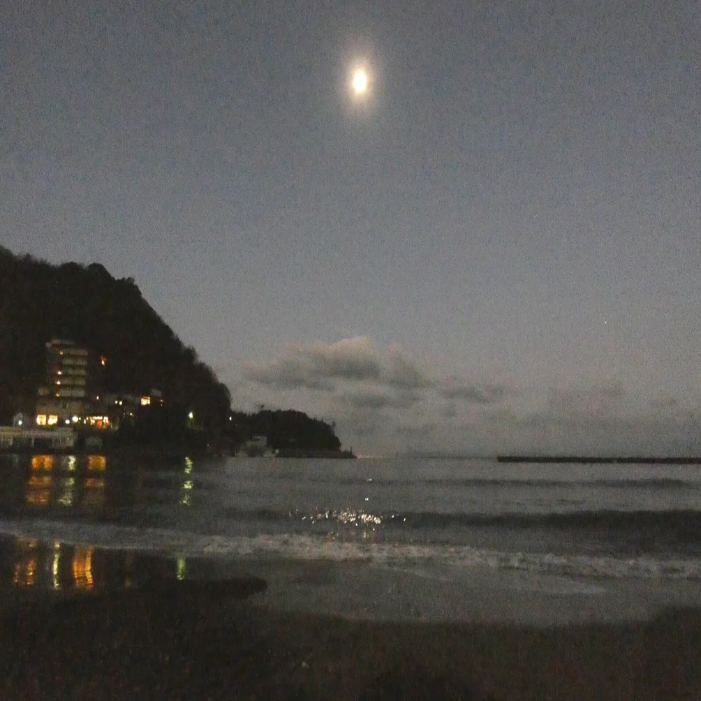 冬の夜の海と月｜野風