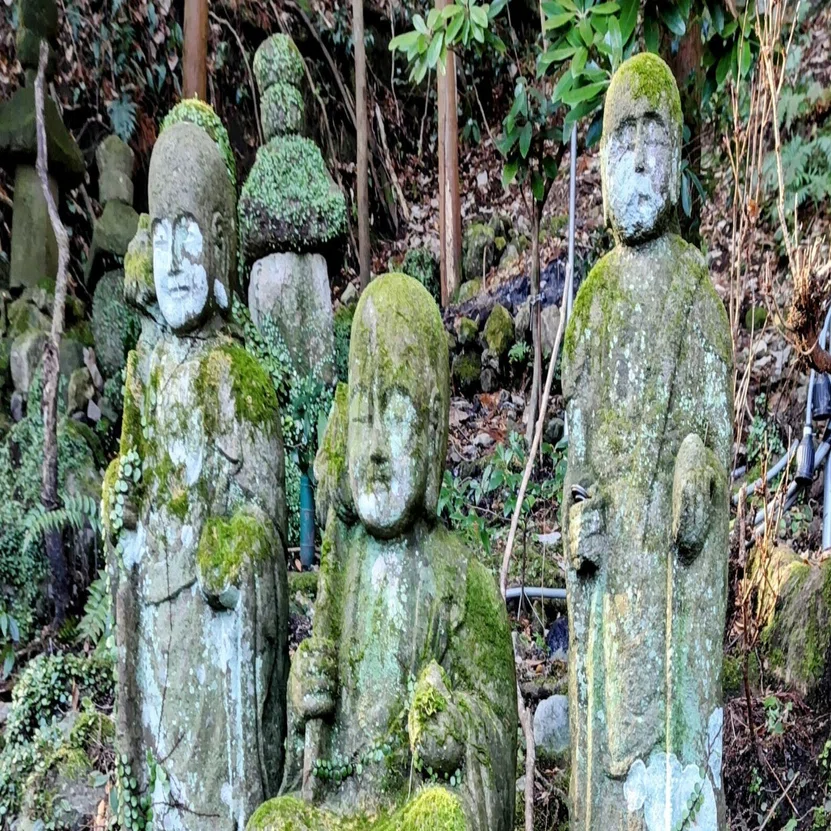 国東半島峯道ロングトレイル一筆書き2025.1/16～17｜旅タロウ