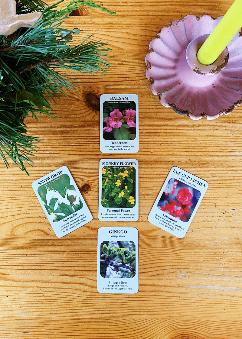 イギリスから冬至のフラワーカードリーディング Ml Note