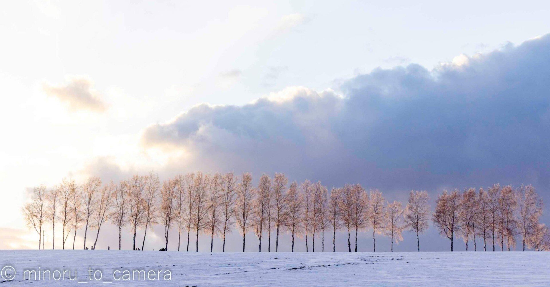 21beb51cbafdd56d60be8db250f9d2