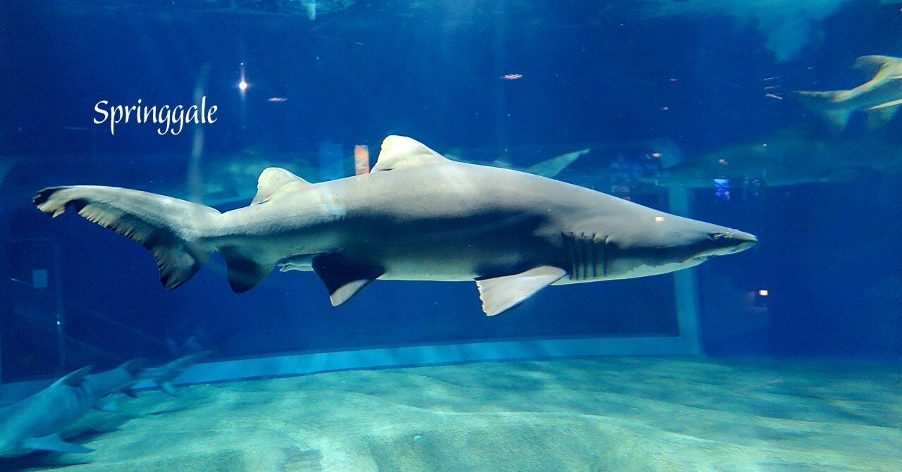 90a2a513ef3cdb7226eada98de7fe4