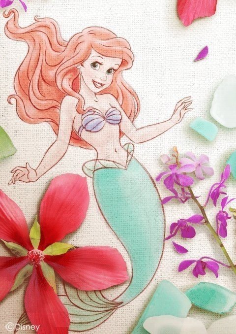 アリッサ ミラノは リトル マーメイド 椎名りつ子 R Sheena 漫画家 他 Note