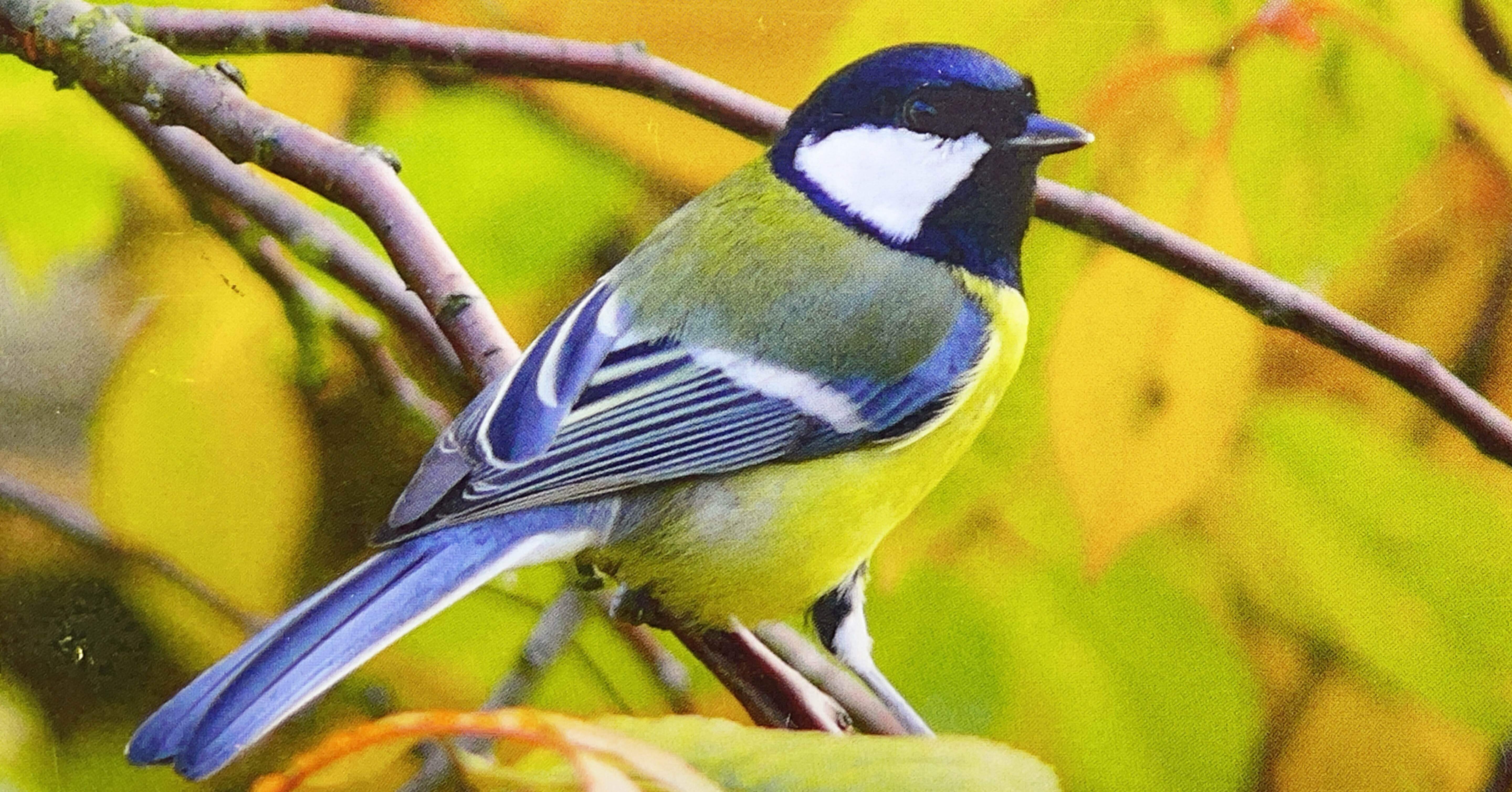 4f68f79d0bb6658558db463d885743