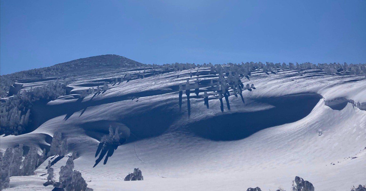 バックカントリー 雪山 セット まとめ売り バックカントリー 雪山 セット まとめ売り