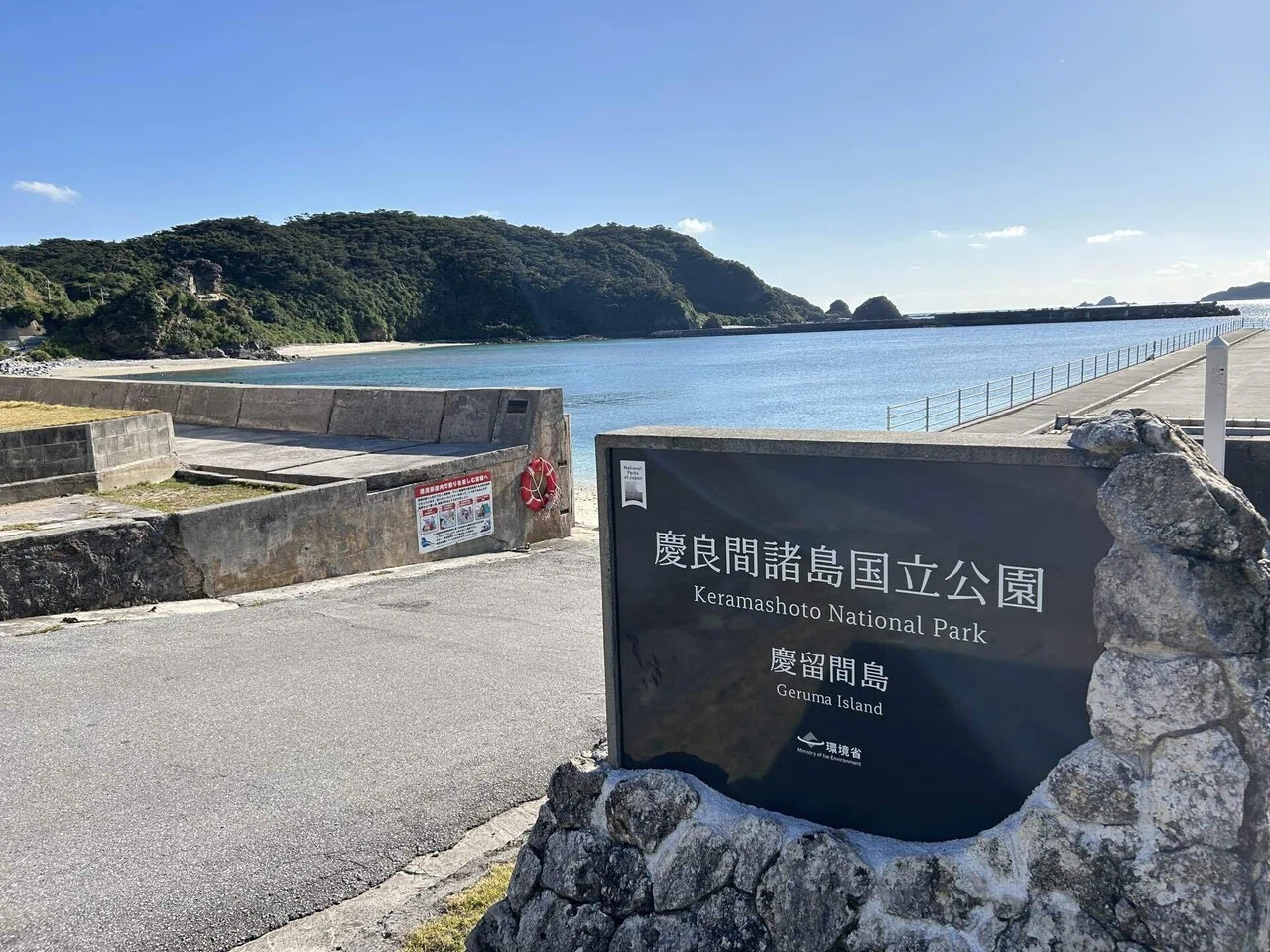 フェリーで沖縄・座間味へ (5)阿嘉島の探検でケラマジカに出会う[完結